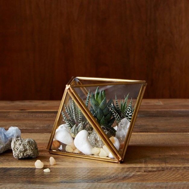 Faceted Terrariums from £29