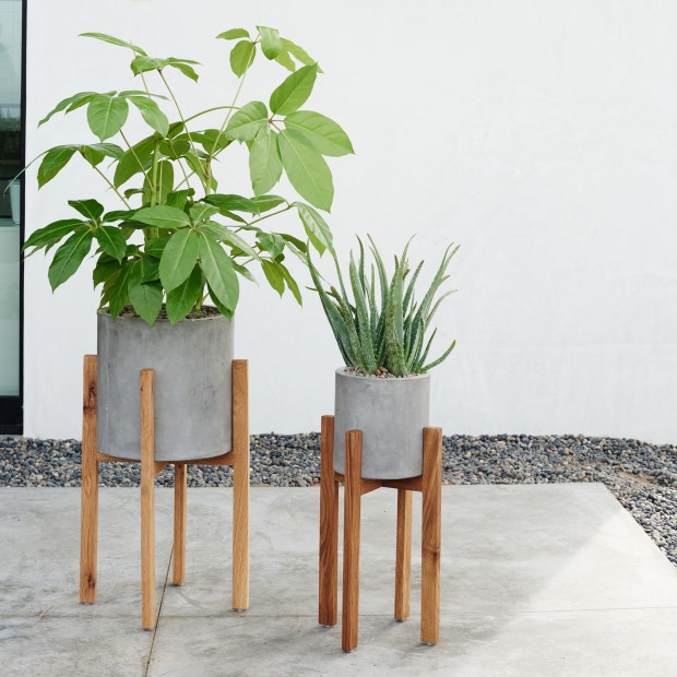 Modern Wood Leg Planter - Cylinder £89